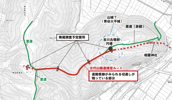 青谷西側丘陵の発掘調査地